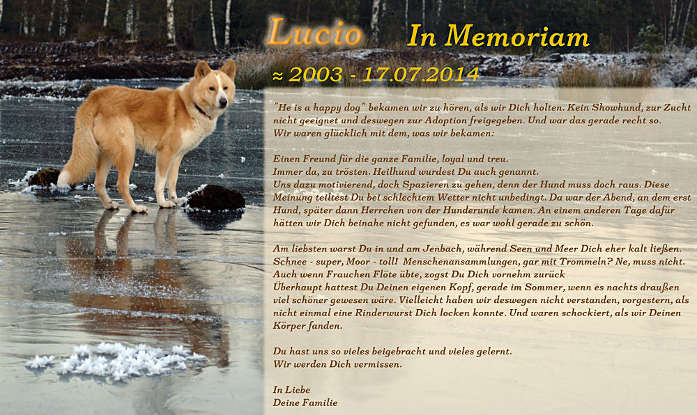 Gedenken an Lucio